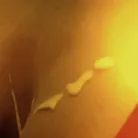 Cherie Deville in 'Brazzers Presents: 20 For 20'