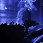 Quinn Wilde in 'The Letters'