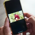 Liz Jordan in 'Gen ZZ: Part 2'