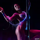 Madison Ivy in 'Pixel Whip Strip'