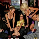 Puma Swede in 'The Only Poll We Want Is A Stripping Poll'