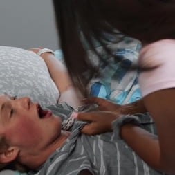 Pillow Humpers