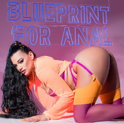 Blueprint For Anal: Part 1