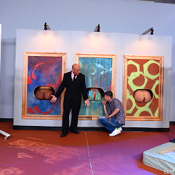 Modern Museum of Fine Ass
